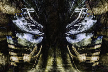 Bright beings - Free image #300161
